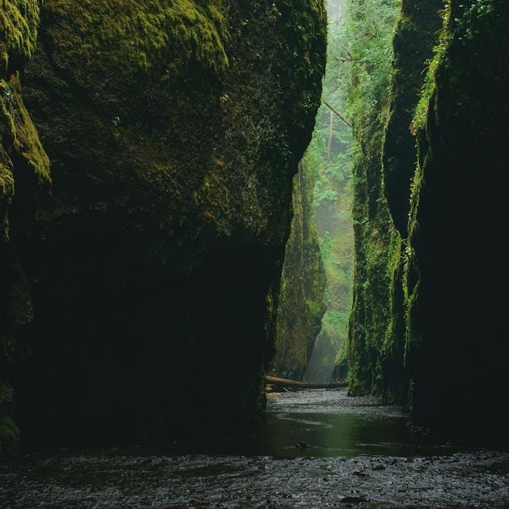 Landscape travel hero image